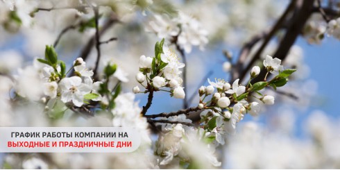 ГРАФИК РАБОТЫ ТЕПЛОВ В ВЫХОДНЫЕ И ПРАЗДНИКИ
