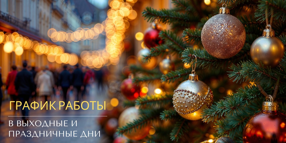 ГРАФИК РАБОТЫ В ВЫХОДНЫЕ И ПРАЗДНИЧНЫЕ ДНИ 2025-2026