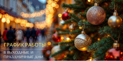 ГРАФИК РАБОТЫ В ВЫХОДНЫЕ И ПРАЗДНИЧНЫЕ ДНИ 2025-2026